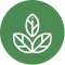 Nguồn gốc rõ ràng